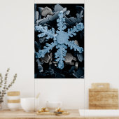 Poster Hexagonal amplifié Flocon de neige Dendrite (Cuisine)