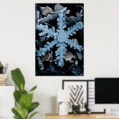 Poster Hexagonal amplifié Flocon de neige Dendrite (Bureau à domicile)