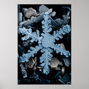 Poster Hexagonal amplifié Flocon de neige Dendrite