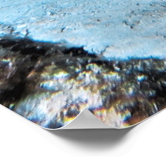 Poster Hexagonal Trunkfish (Coin)