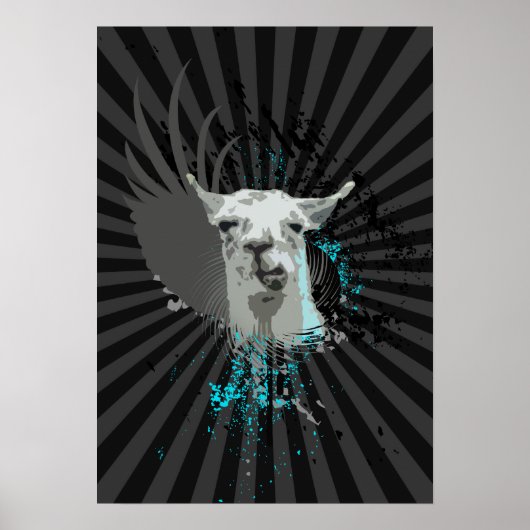 Poster hi-fi llama. (Devant)