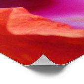 Poster Hibiscus (Coin)