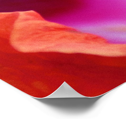 Poster Hibiscus (Coin)