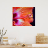Poster Hibiscus (Cuisine)