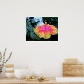 Poster hibiscus (Cuisine)