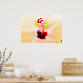 Poster Hibiscus (Cuisine)