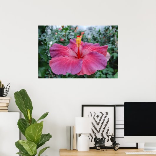Poster Hibiscus (Bureau à domicile)