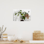 Poster Hibiscus #1 (Cuisine)