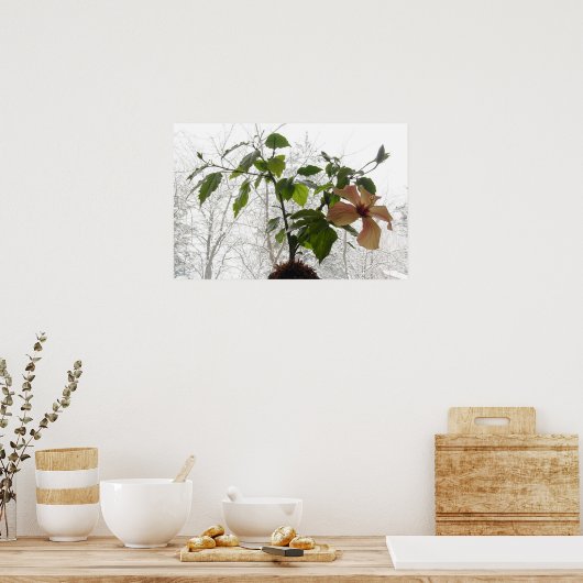 Poster Hibiscus #1 (Cuisine)