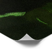 Poster Hibiscus 424 fleur rouge tropicale (Coin)