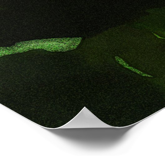 Poster Hibiscus 424 fleur rouge tropicale (Coin)