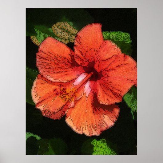 Poster Hibiscus 424 fleur rouge tropicale (Devant)