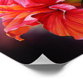 Poster Hibiscus aquarelle (Coin)