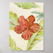 Poster Hibiscus Art Imprimer 5x7 (Devant)