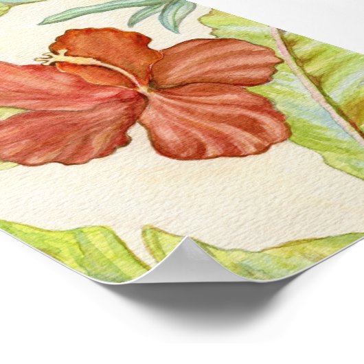 Poster Hibiscus Art Imprimer 5x7 (Coin)