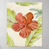 Poster Hibiscus Art Print 8x10 (Devant)