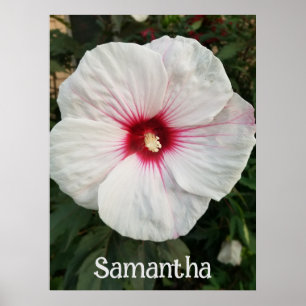 Poster Hibiscus blanc personnalisable avec Hot Pink Cente