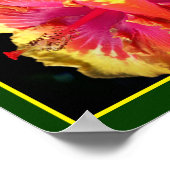 Poster Hibiscus coloré Fleur Fermer Abstrait (Coin)