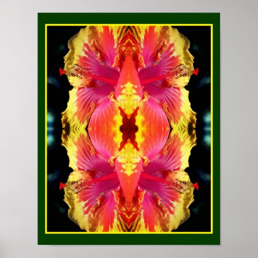 Poster Hibiscus coloré Fleur Fermer Abstrait (Devant)