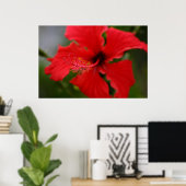 Poster Hibiscus d'Hawaï (Bureau à domicile)