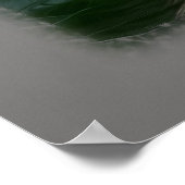 Poster hibiscus en floraison (Coin)