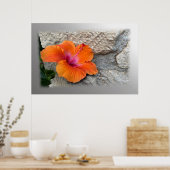 Poster hibiscus en floraison (Cuisine)