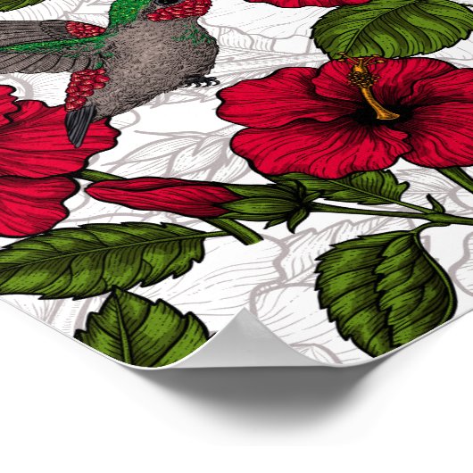 Poster Hibiscus et colibris (Coin)
