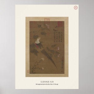 Poster Hibiscus et faisan doré - Zhao Ji, Song