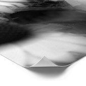 Poster Hibiscus Fleur Haut Contraste Noir Et Blanc (Coin)