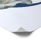 Poster Hibiscus Fleur Monogramme C initial (Coin)