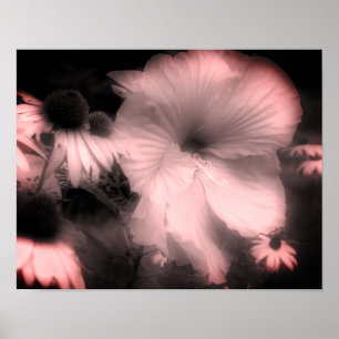 Poster Hibiscus Fleur Noir Et Blanc Tint