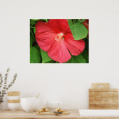 Poster Hibiscus Flower Bright Magenta (Cuisine)