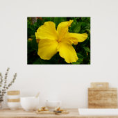 Poster Hibiscus hawaïen (Cuisine)