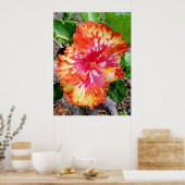 Poster Hibiscus hybride hawaïen (Cuisine)