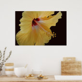 Poster Hibiscus jaune114 (Cuisine)