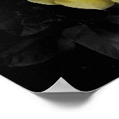 Poster Hibiscus jaune photo couleur sélective (Coin)