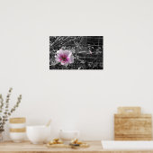 Poster Hibiscus noir, blanc et rose (Cuisine)