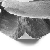 Poster Hibiscus noir et blanc (Coin)