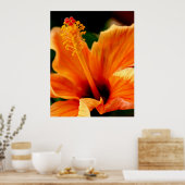Poster Hibiscus orange (Cuisine)