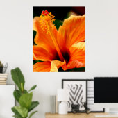 Poster Hibiscus orange (Bureau à domicile)