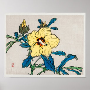 Poster Hibiscus par Kōno Bairei (1844-1895)
