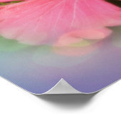 Poster Hibiscus rose (Coin)
