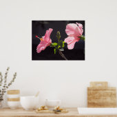 Poster Hibiscus rose en noir (Cuisine)