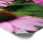 Poster Hibiscus Rose Et Fleurs Amis Du Jardin (Coin)