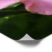 Poster Hibiscus rose peinture photo (Coin)