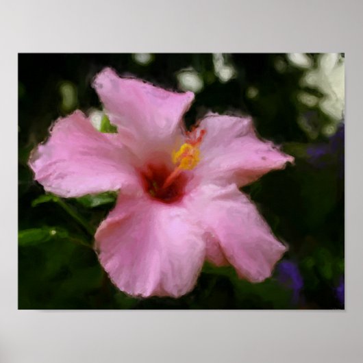 Poster Hibiscus rose peinture photo (Devant)