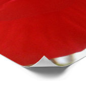 Poster Hibiscus rouge (Coin)