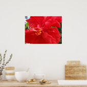 Poster Hibiscus rouge (Cuisine)