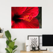 Poster Hibiscus rouge (Bureau à domicile)