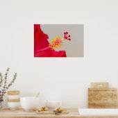 Poster Hibiscus rouge Closeup de Pistil et Stamen (Cuisine)